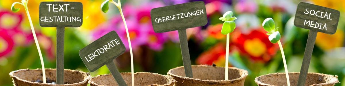 Deutsch text korrigieren