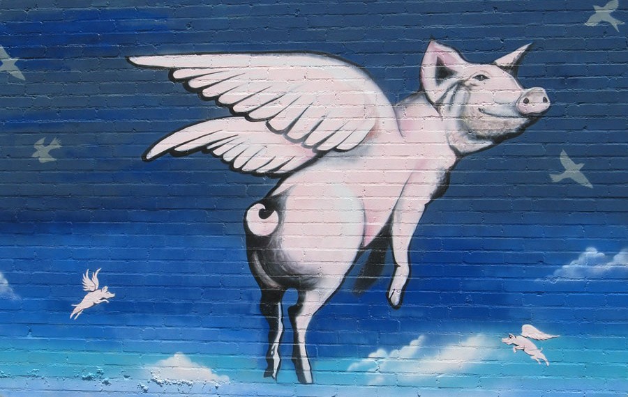 When pigs fly: englische Redewendungen