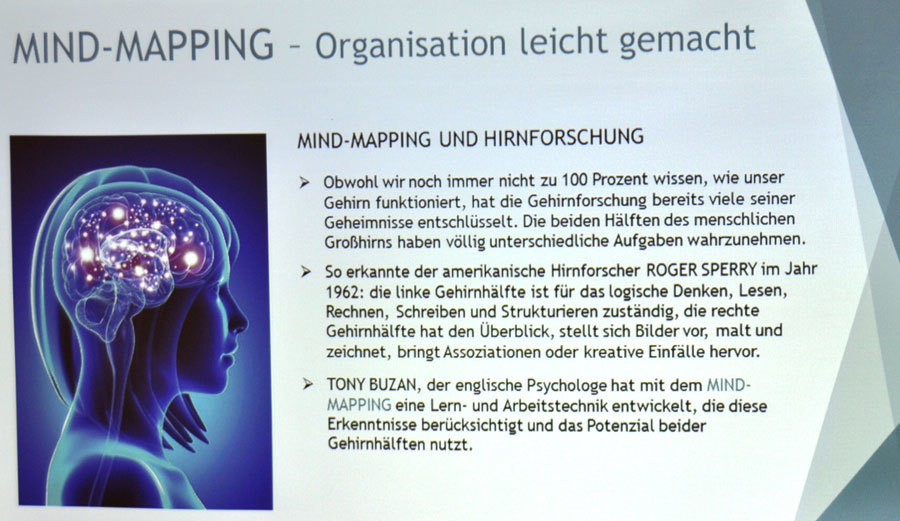 Mindmapping und Hirnforschung