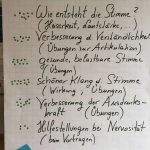 Stimmtraining