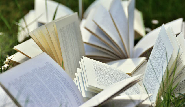 Speed Reading-Techniken helfen Bücher schneller zu lesen