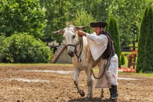 Ungarischer Abend: Sprache und Kultur